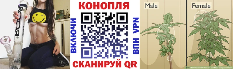 Где найти наркотики Дубовка КОКАИН  АМФ  А ПВП  МАРИХУАНА  ГАШ 