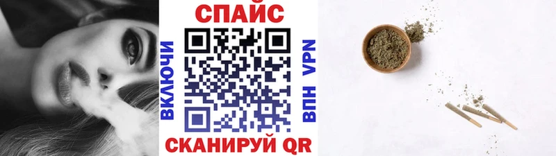 где найти   Дубовка  Бутират буратино 